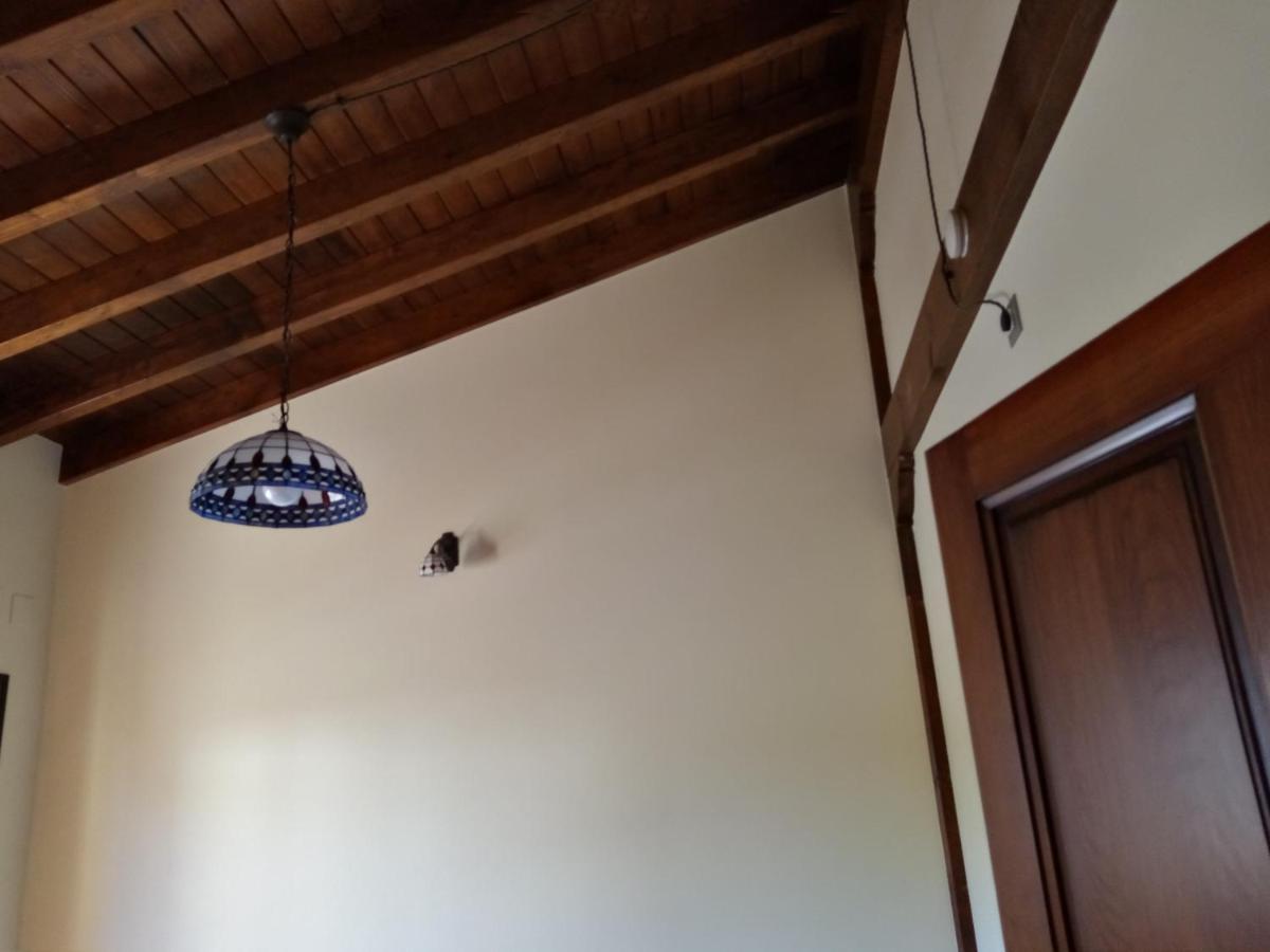 Apartamentos La Regata Viveda Εξωτερικό φωτογραφία